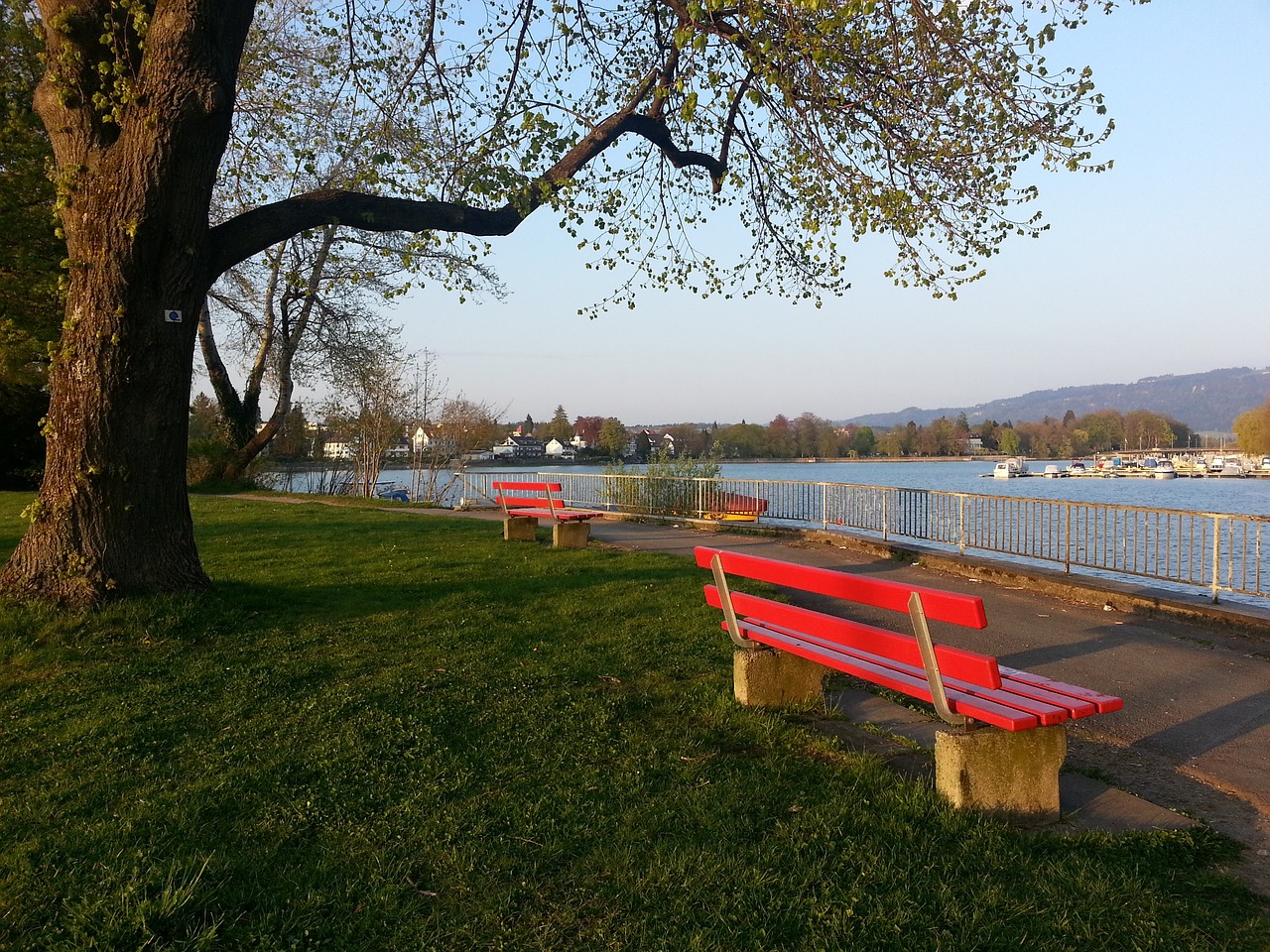 是否对手的 是否对手的